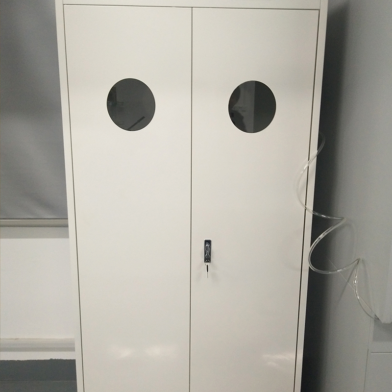 گیس سلنڈر اسٹوریج کابینہ