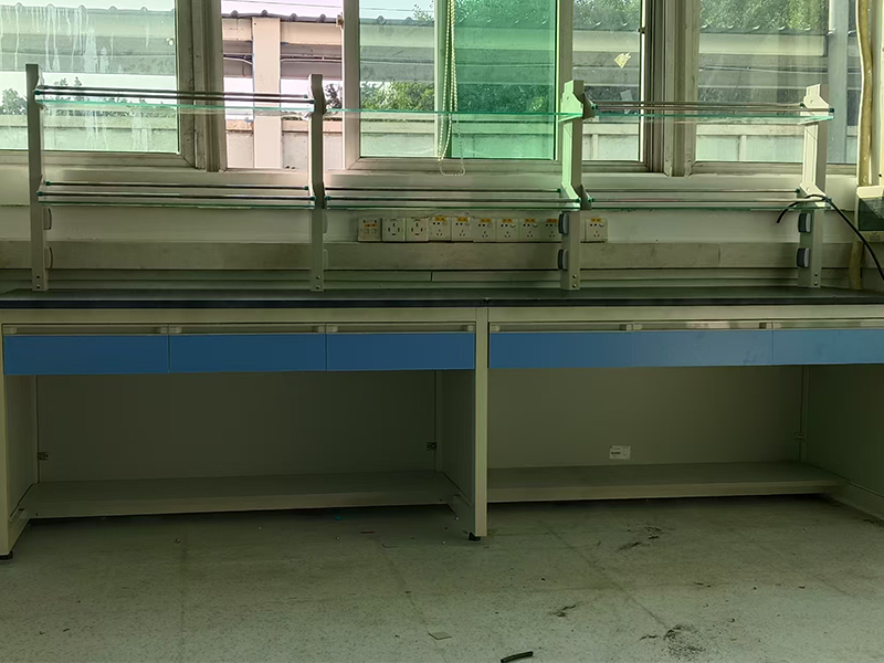 Steel-Wood Lab Bench On-Site Case in a Research Laboratory