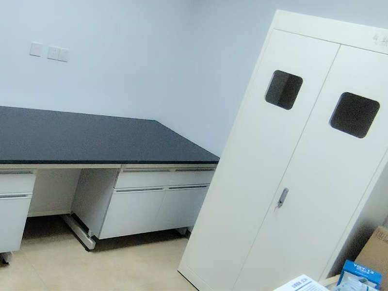 Steel Wood Lab Bench Project Case for Chemistry Laboratory