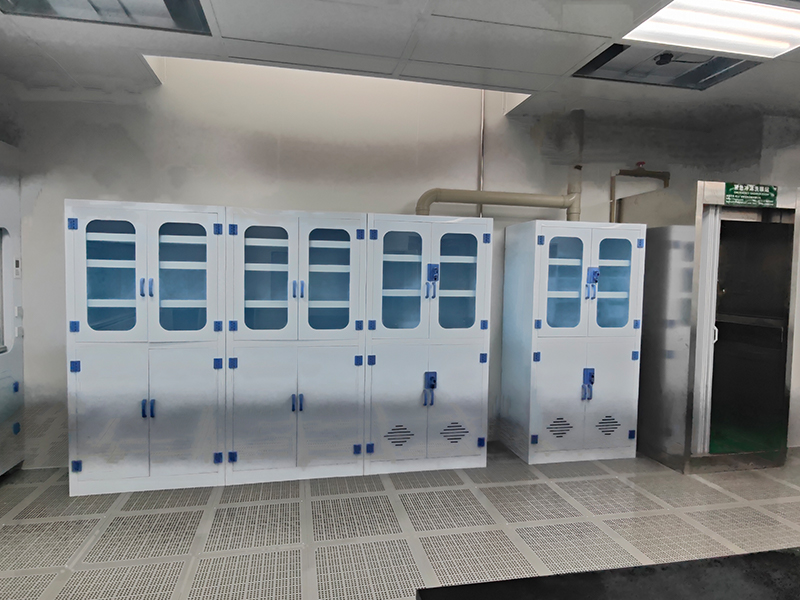 Laboratory PP Chemical Cabinets